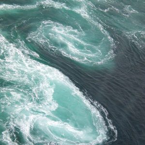 laurie nichols blog succession planning